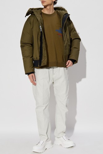 Dsquared2 icon new - icon,